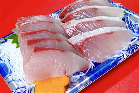 19 Types of Sashimi .